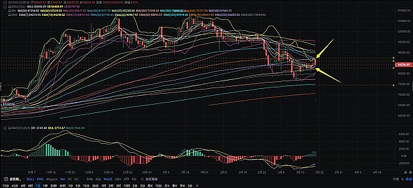 币安合约先行但现货缺席的潜力币盘点